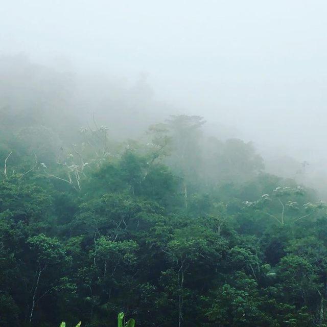 Sitio Recanto Da Preguica 圣特雷莎 外观 照片