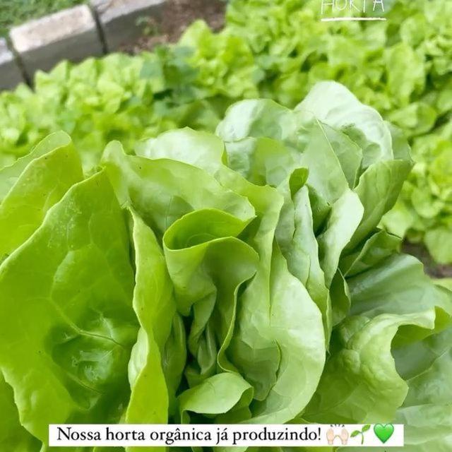 Sitio Recanto Da Preguica 圣特雷莎 外观 照片